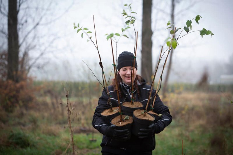 Plantseizoen 2021-2022 II